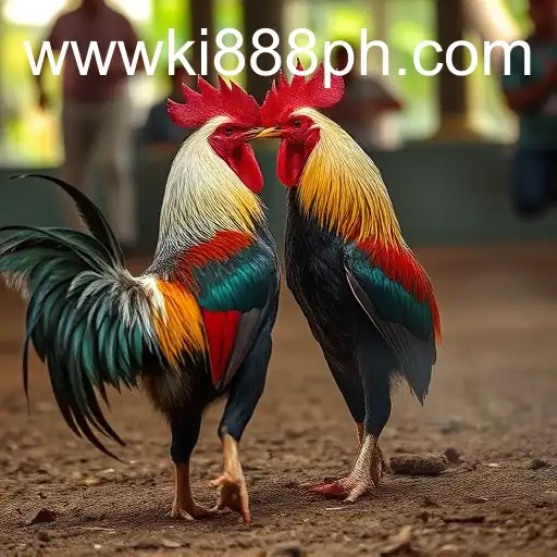The Intricacies of Sabong Games: A Deep Dive into the World of Cockfighting and Ki888.COM